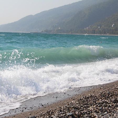 Mamzyshkha Guest House Γκάγκρα Εξωτερικό φωτογραφία